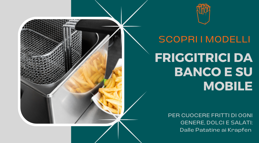 friggitrice professionale